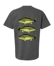 Load image into Gallery viewer, Kiss My Bass - Graphic Tee (Pepper)
