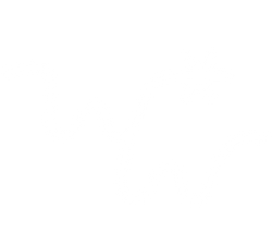 Ward Whimsey